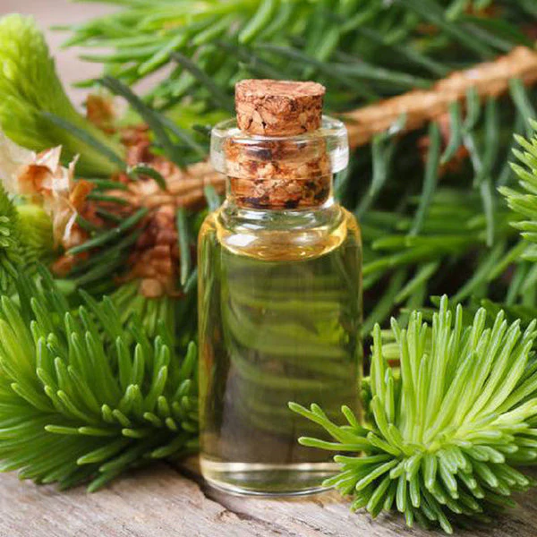 Pino - Aceite Esencial
