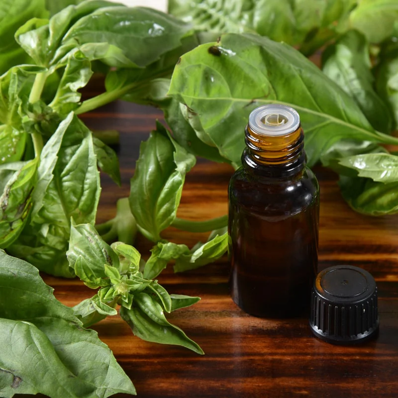 Albahaca - Aceite Esencial