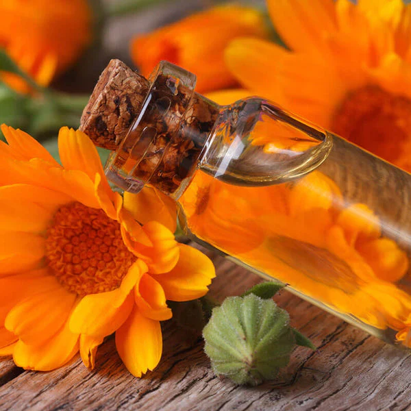 Calendula - Extracto