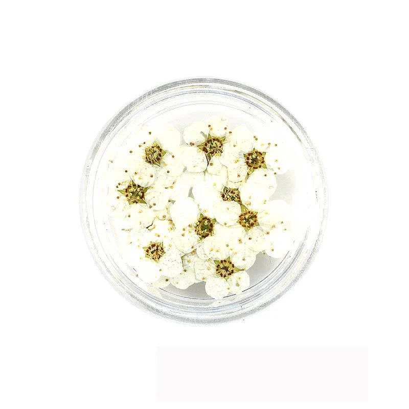 Florecitas Deco - Blanca