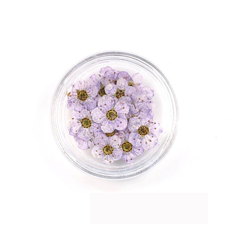 Florecitas Deco - Lila