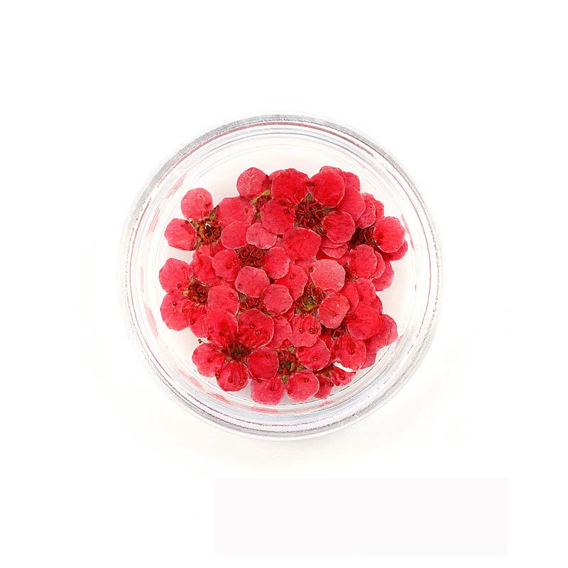 Florecitas Deco - Roja