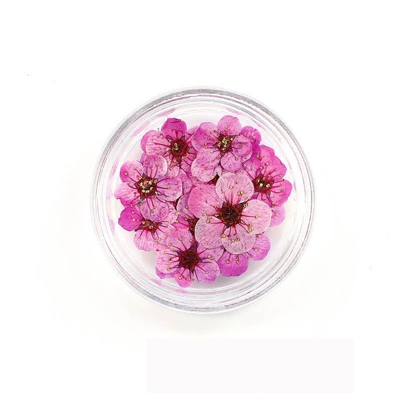 Florecitas Deco - Rosa Oscura