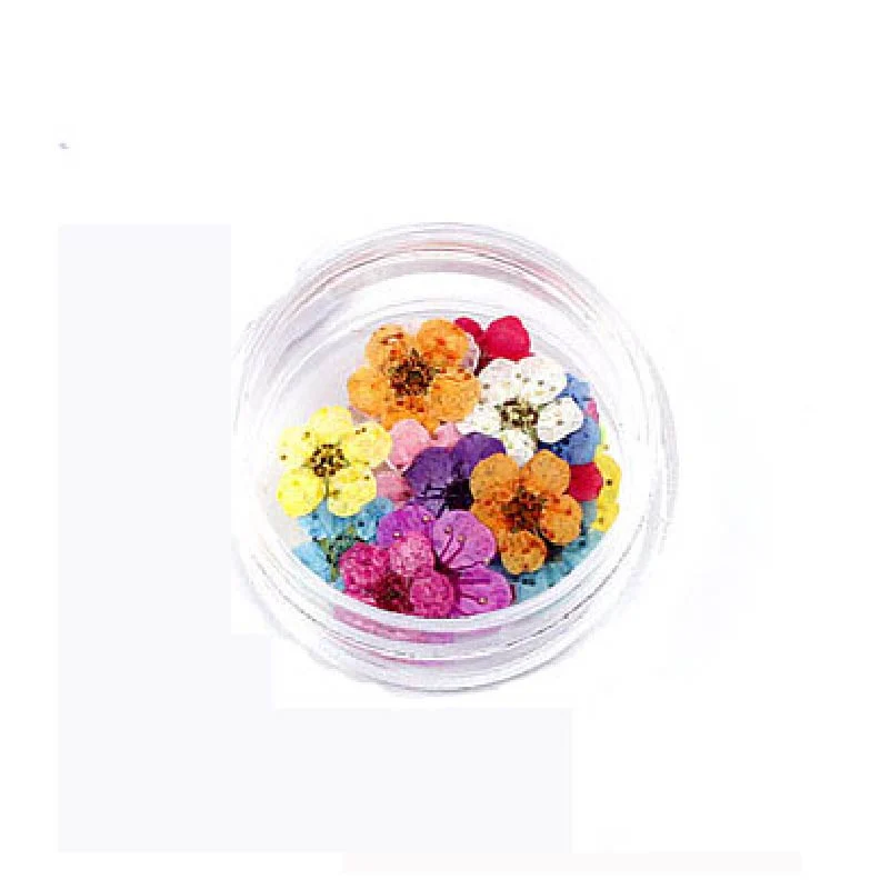 Florecitas Deco - Surtida