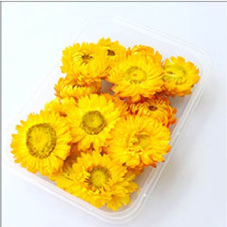 Flores Deco - Amarilla