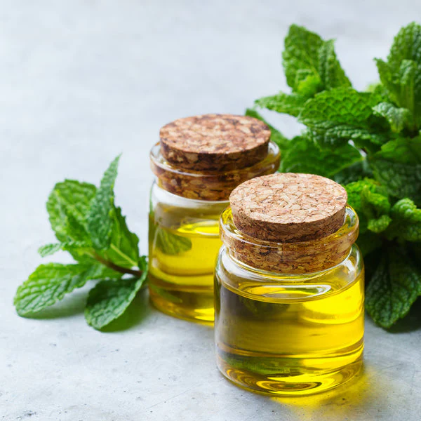 Menta Piperita - Aceite Esencial  FG