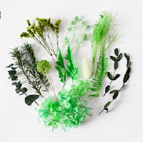 Tallos Deco - Verde - Image 2