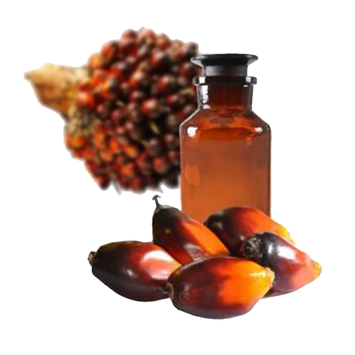 Palma - Aceite