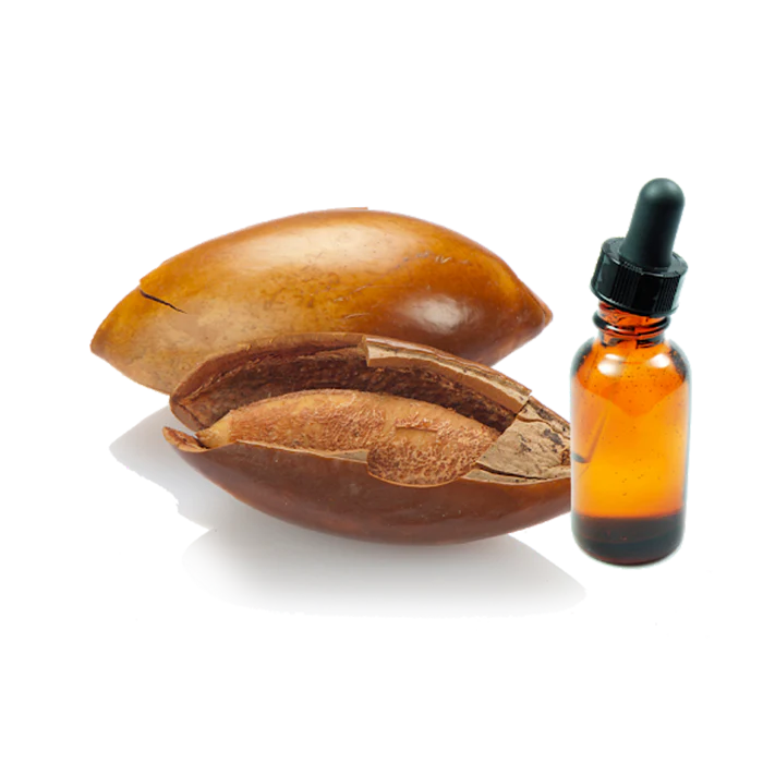 Zapuyul - Aceite